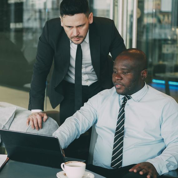 Company-wide mentorship